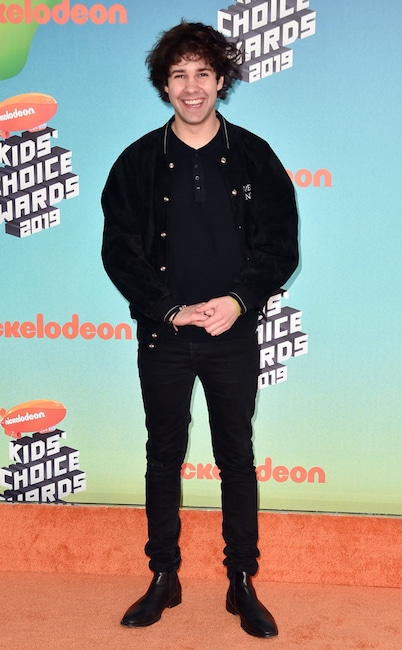 David Dobrik, Nickelodeon 2019 Kids Choice Awards, Arrivals